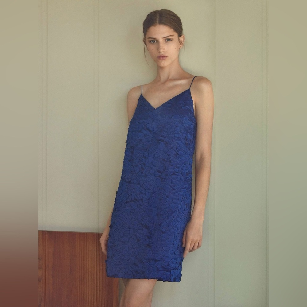 COS Blue Laser cut Appliqué Dress